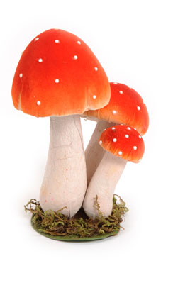 mushroom x3 'fly agaric'