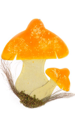 [0681705] pendant champignons