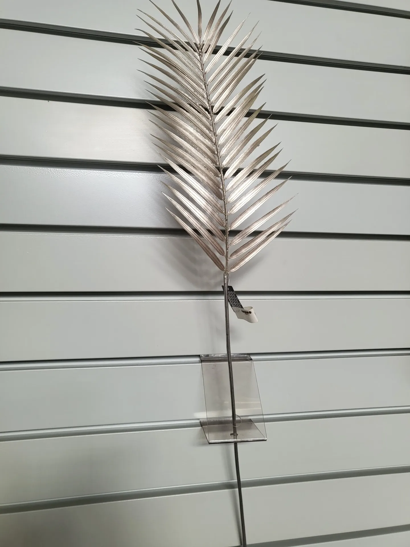 [0043546] palme
