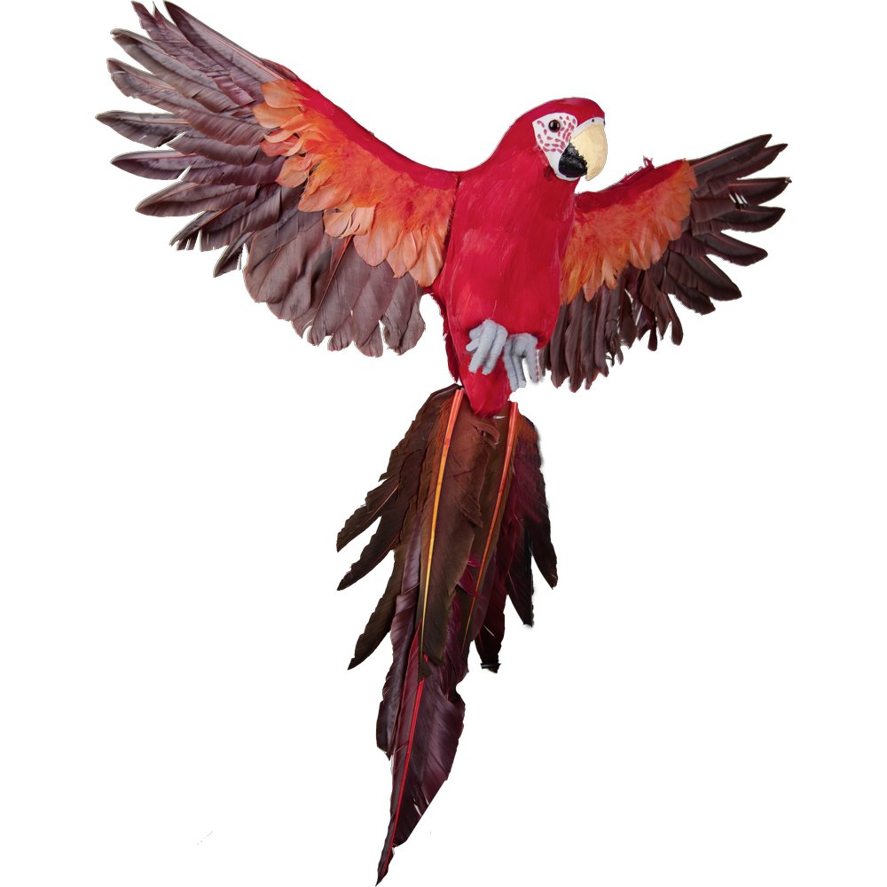 flying parrot