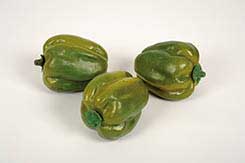 poivron rond
