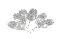 [0037786] plumes de paon