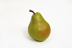 [0048519] peer natuur (12cm)