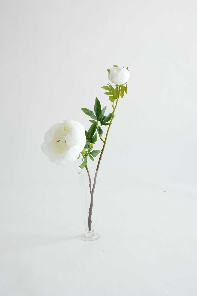 peony