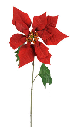 [0683192] poinsettia op steel (x1)
