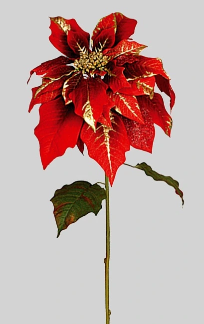 poinsettia/acier + paillettes
