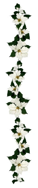 poinsettia garland