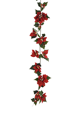 poinsettiaguirlande