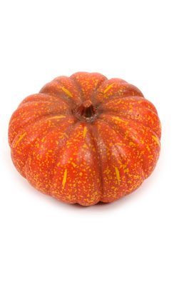 pompoen groot