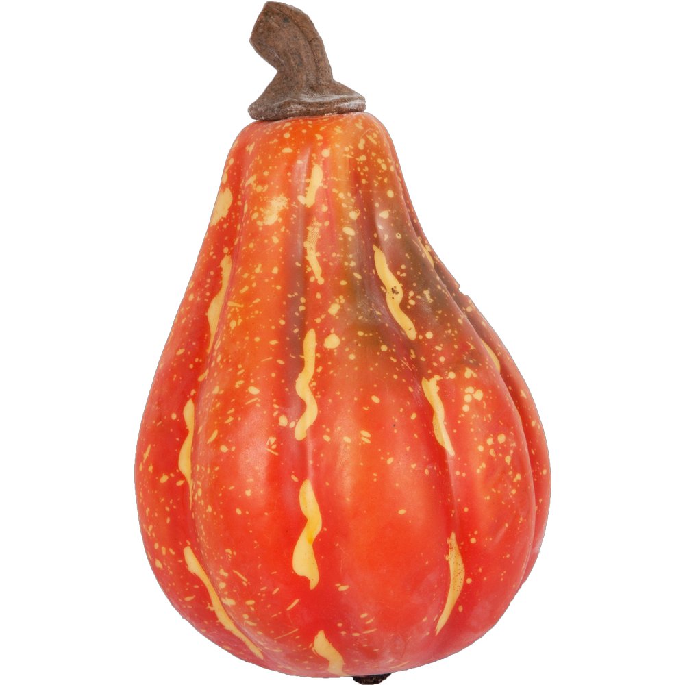 [0689119] pumpkin long