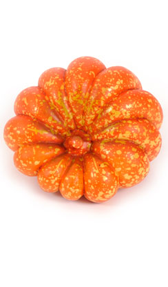 [0686169] pumpkin