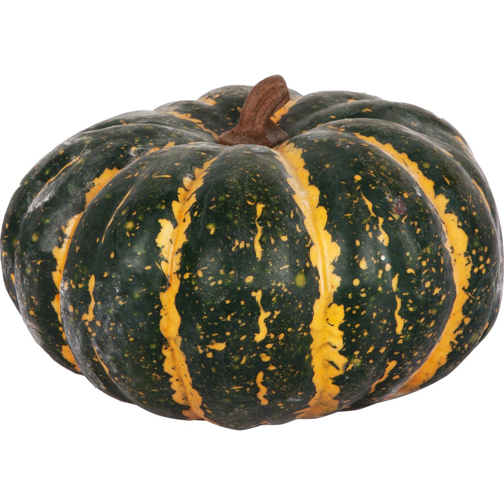 [0689117] pumpkin round