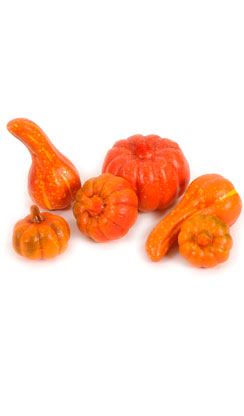 [0686170] pumpkins in net