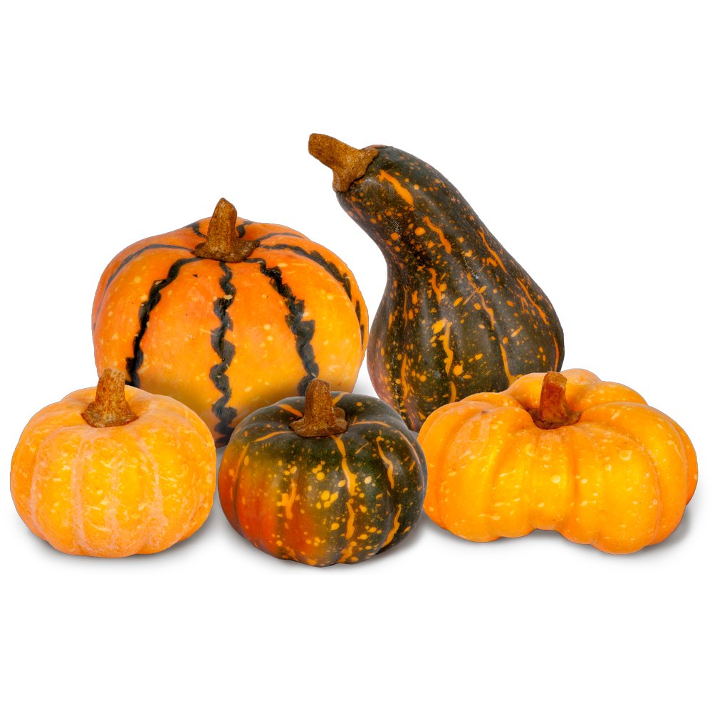 [0689115] pumpkin-mix