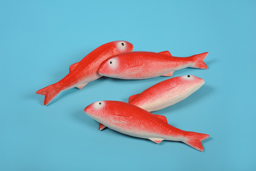 gurnard