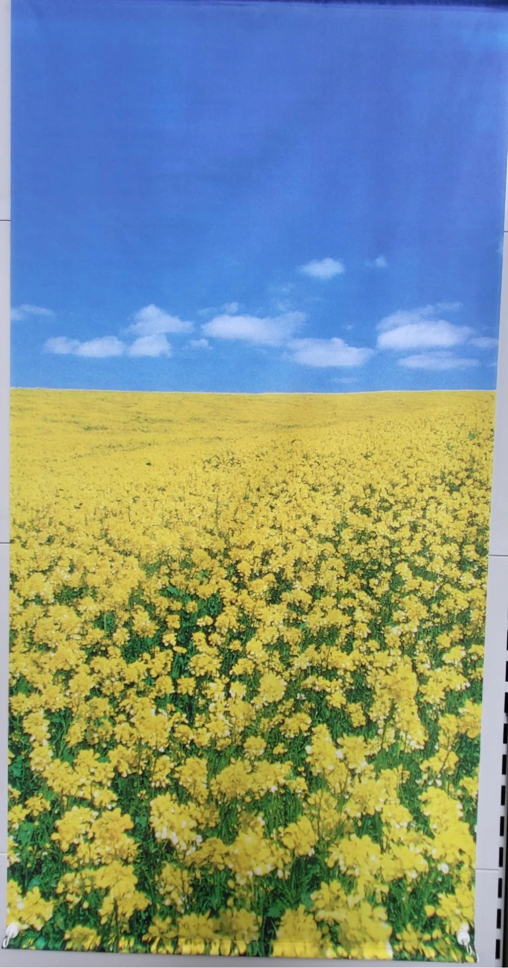 poster 'raapland'