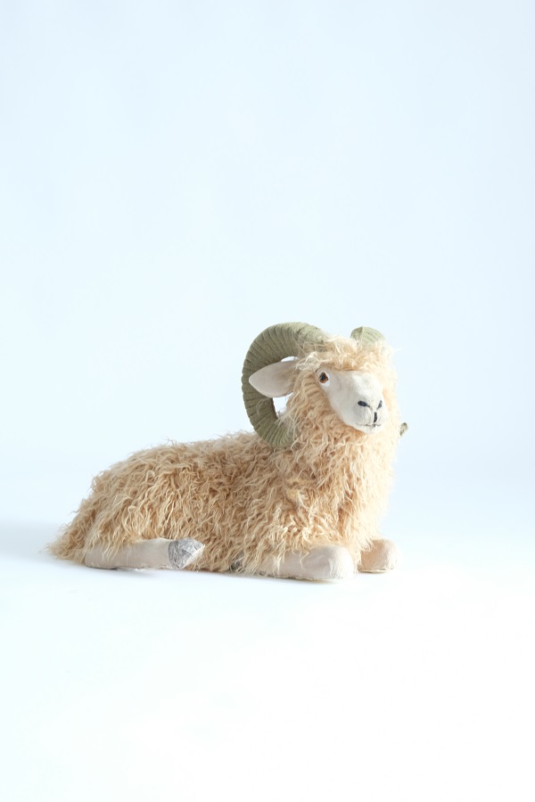 [0684081] aries
