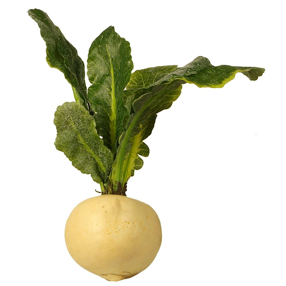 ramenas rond