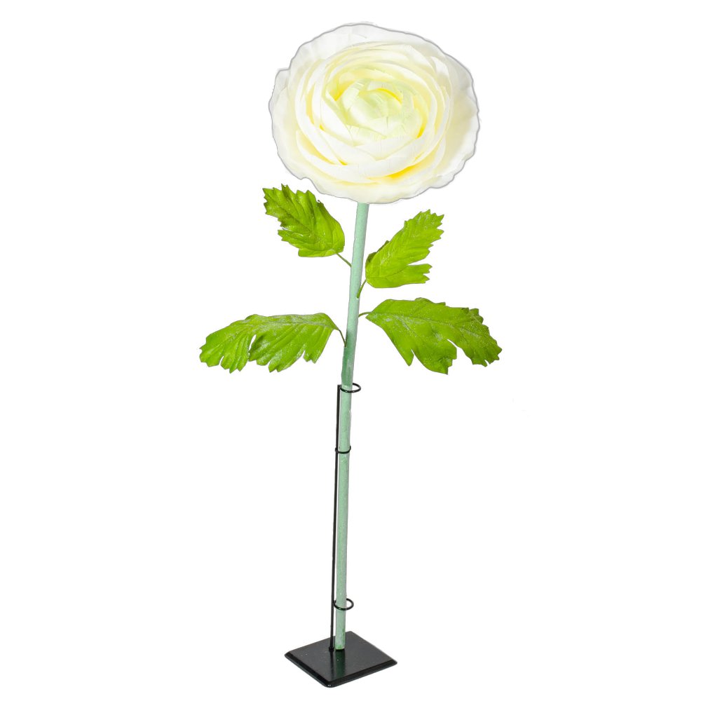 [0682277] ranunculus XL