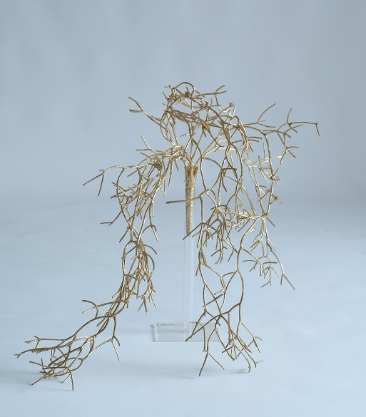 [0044026] pendant rhipsalis