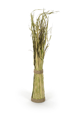 botte de roseaux