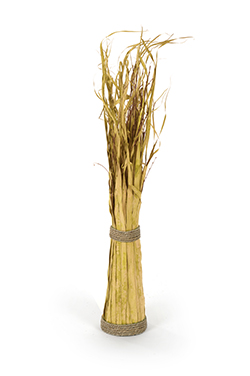 reed bundle