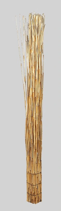 [0688715] reed bush (8x8xh.130cm)