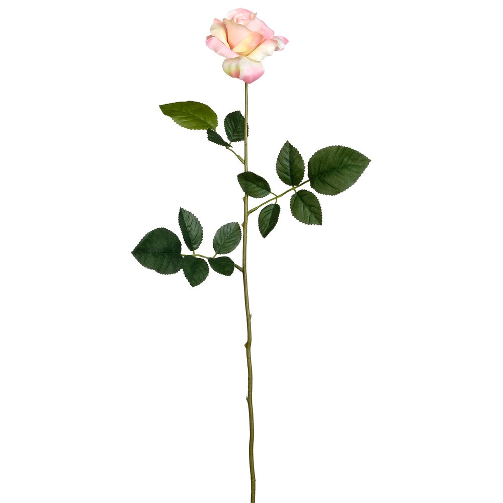 rose Luxor (red, h.70cm,Ø10cm)