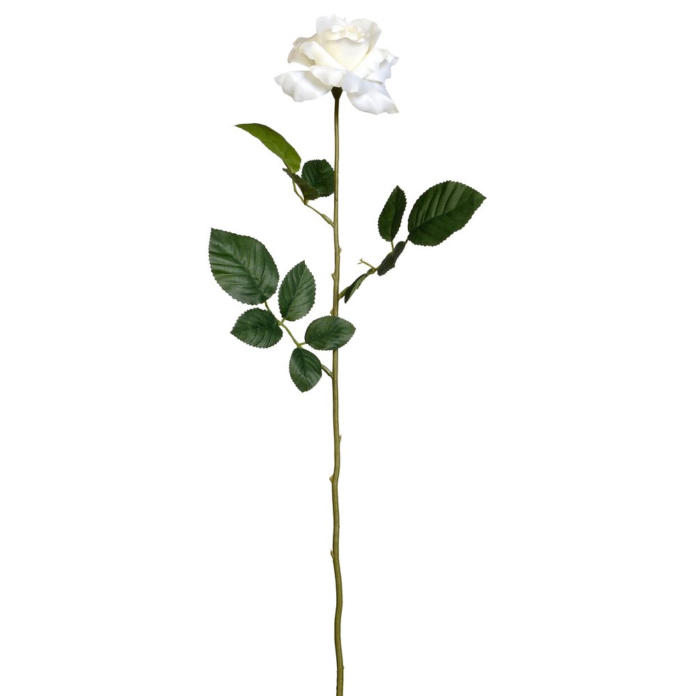 rose Luxor