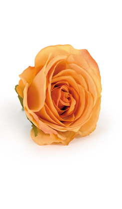 [0043412] rose on stem (antique gold)