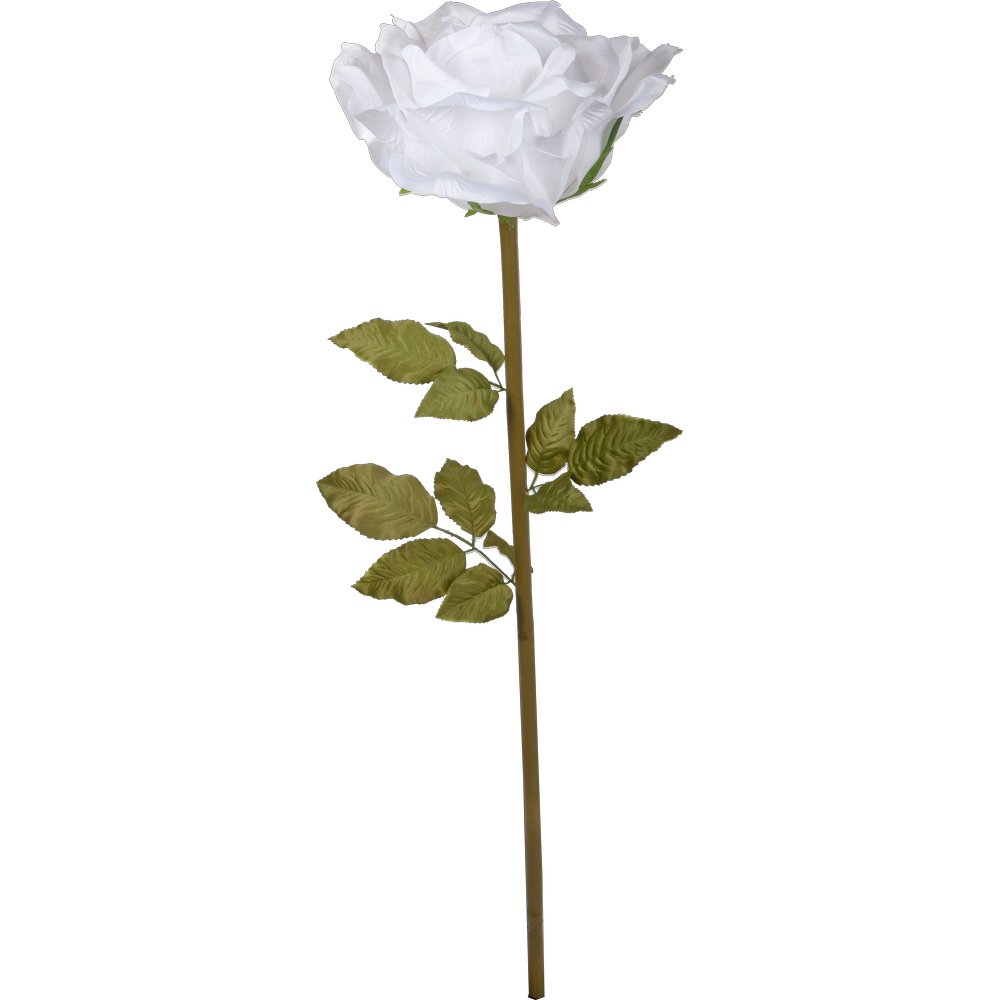 roos XXL