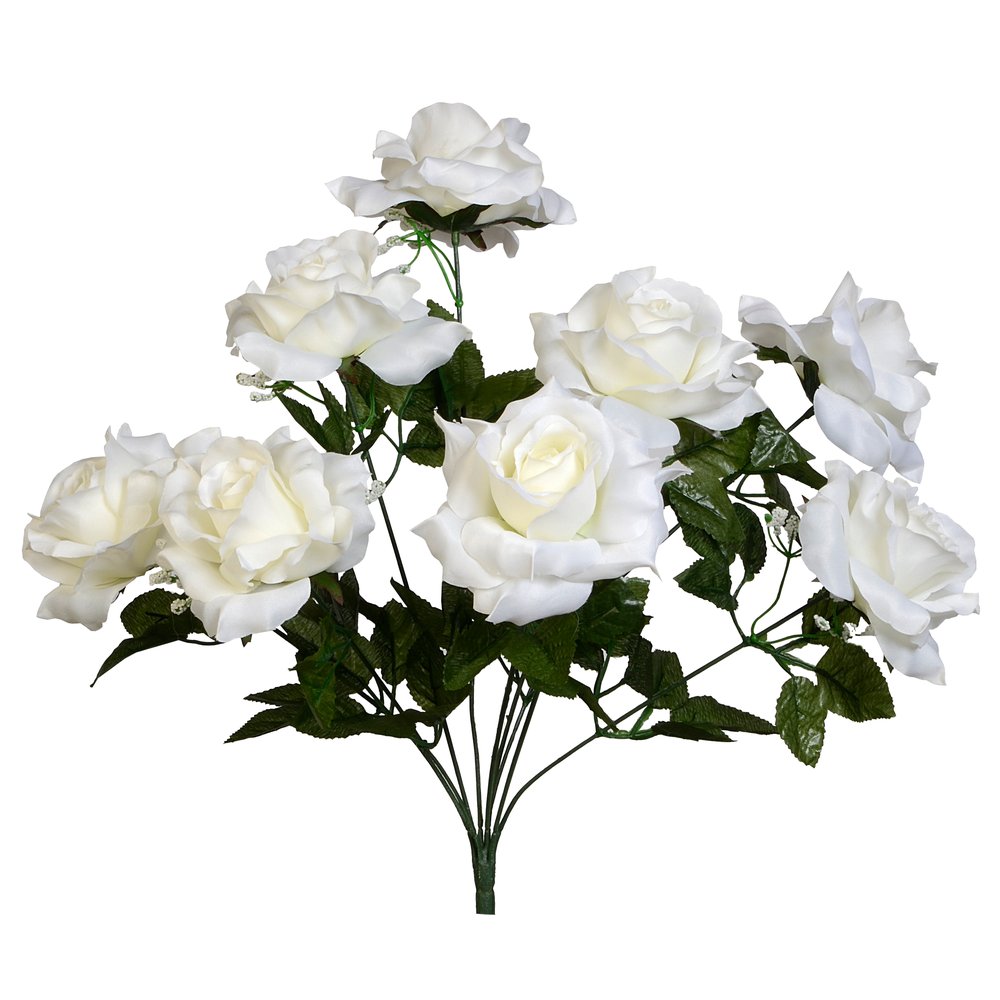rose bush Luxor