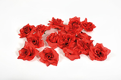 [0045162] têtes de roses (rouge)