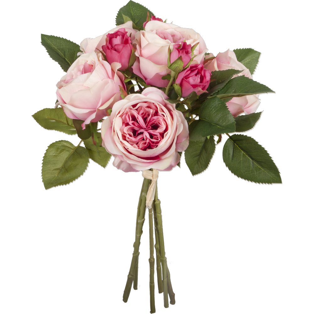[0685754] buisson de roses (vert/rose)