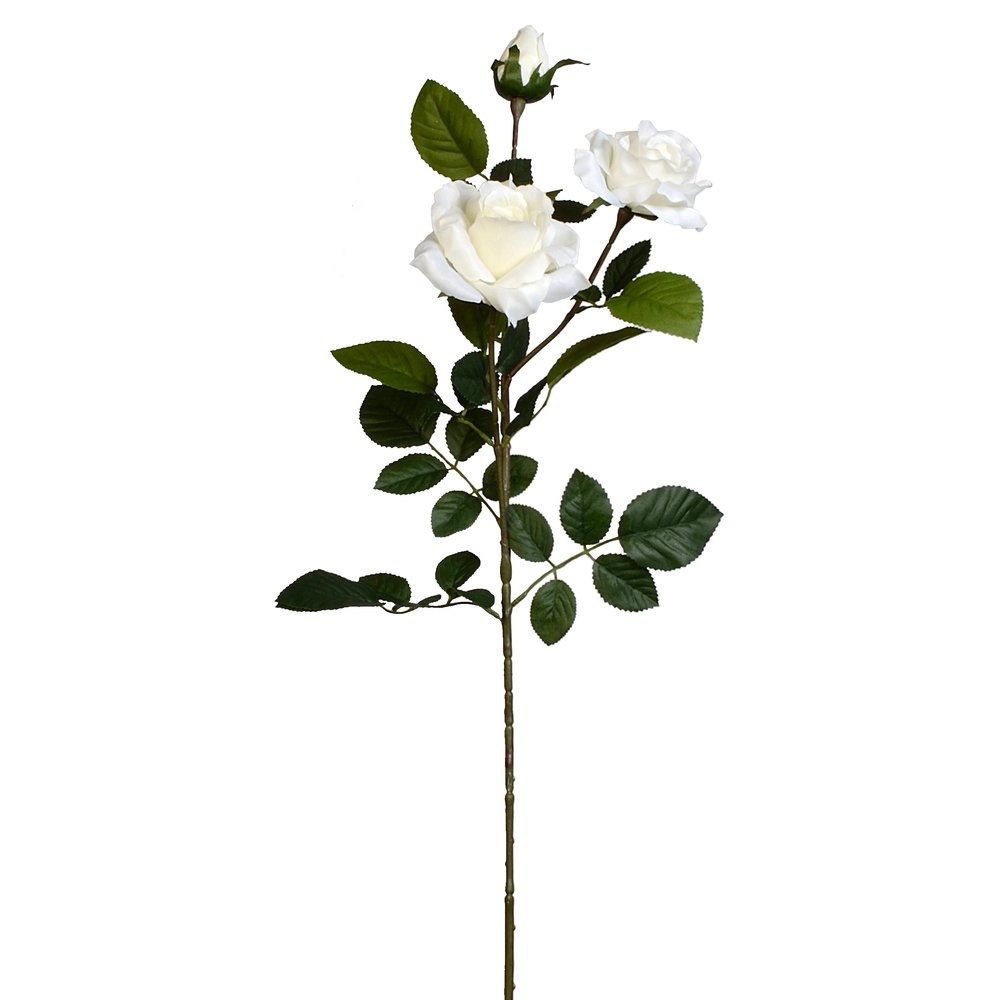 rose branch Luxor
