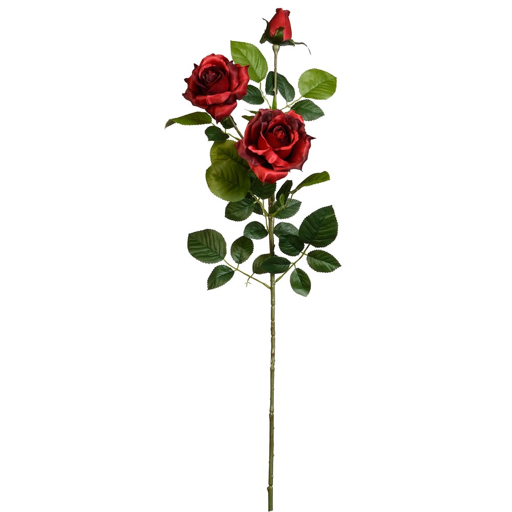branche de roses Luxor