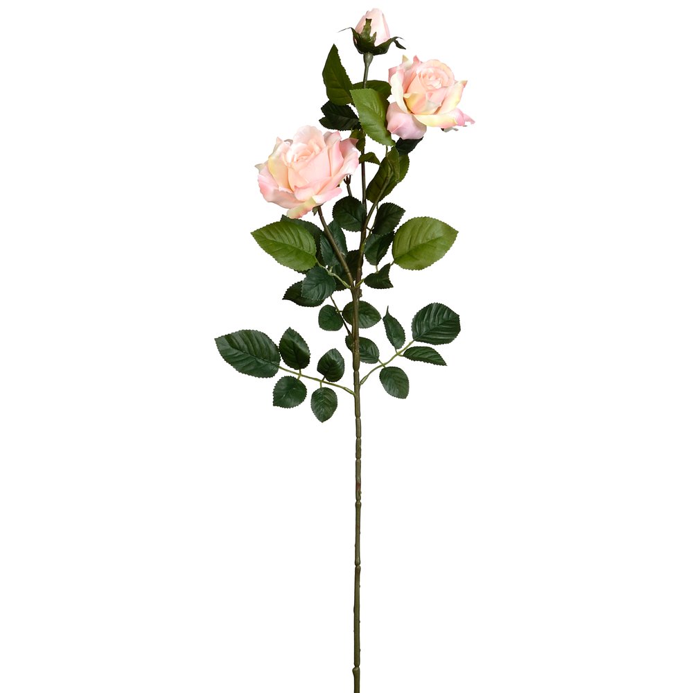 [0688832] rose branch Luxor