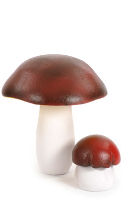 set 2 paddenstoelen