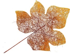 sisalblad filigraan