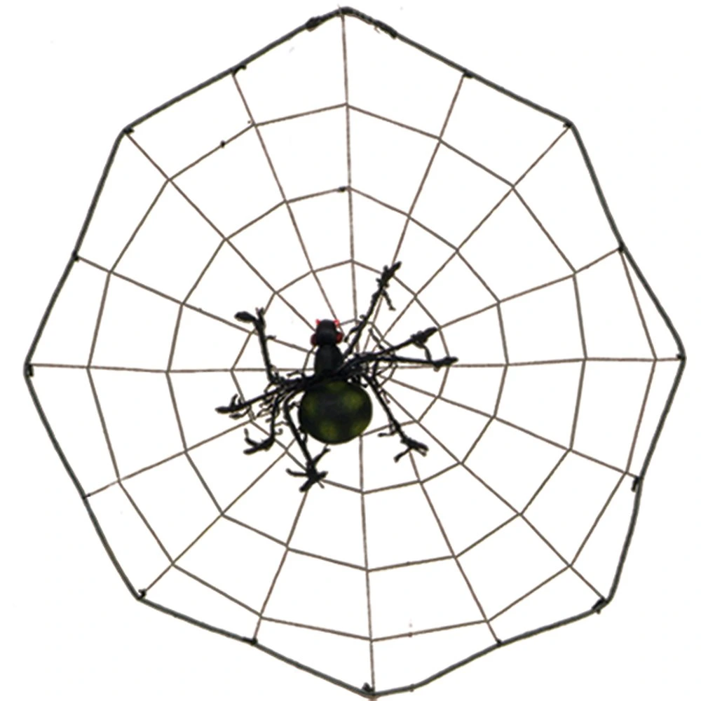 spin (18cm) op web