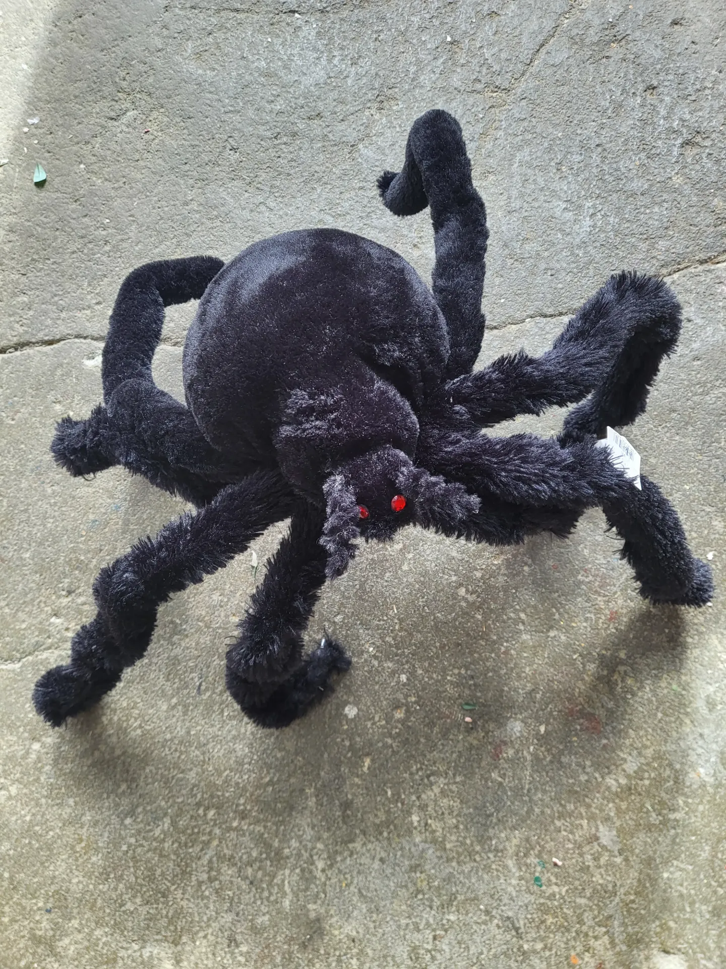 spin zwart