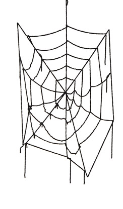 spinnenweb CP
