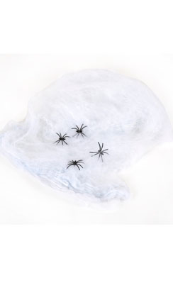 toile d'araignée avec 4 araignées
