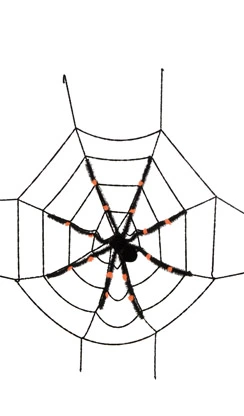 spider web with spider