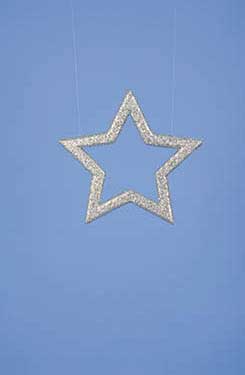 star 'starlight'