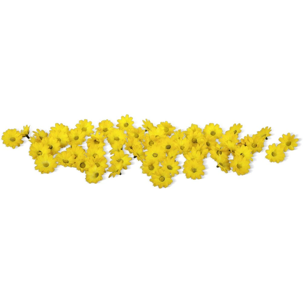 flowers for scattering