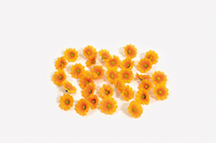 strooibloemen