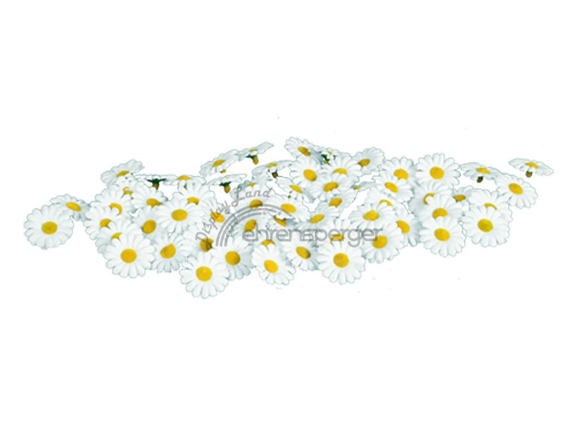 strooibloemen wit/geel