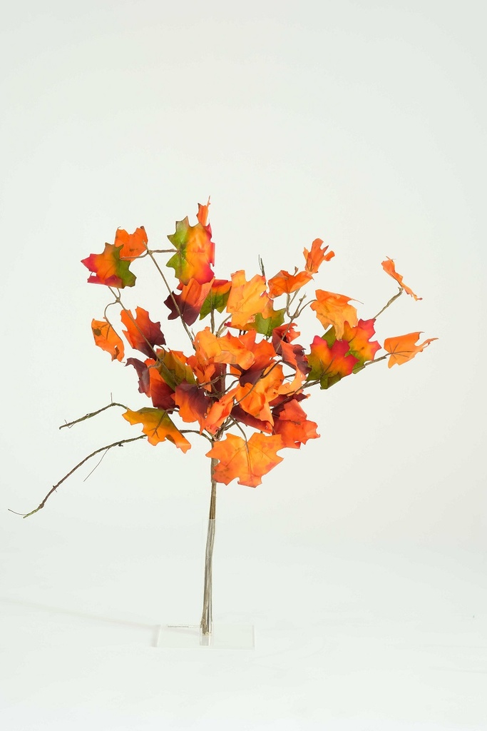 [0682839] tak herfstbladeren