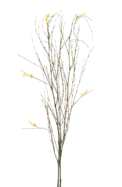 [0682990] botte de branches + fleurs